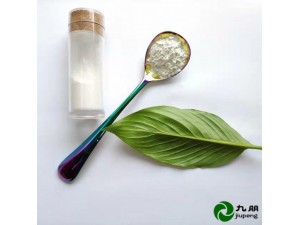 现货 20纳米氧化铝 γ相氧化铝 荧光粉用 高纯氧化铝