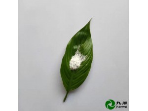 不消光高纯白炭黑20-50nm纳米二氧化硅CY-SP20