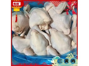 冻货三黄鸡|冷冻白条鸡批发价格|山东冷冻食品厂家供