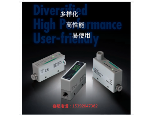 代理FSM3-L201U2BA1F1N-BH流量计