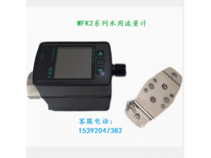 CKD流量计WFK2-050CABAN-A总代理