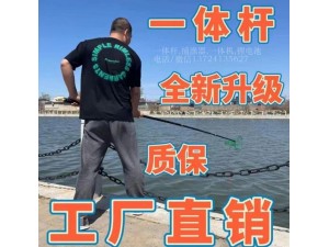 锂电一体杆批发 双杆锂电杆，浮鱼王抄网