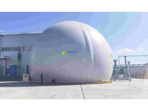 大白球双膜储气柜WD68