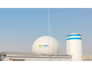 万伯双膜储气柜WD65