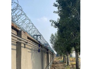 边防周界入侵探测器 电子围栏安防监控报警系统